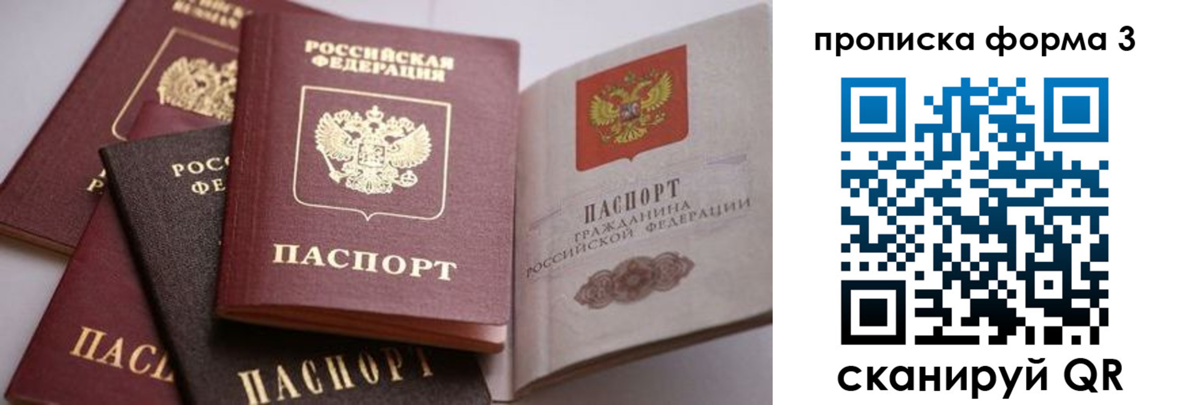 прописка для школы в Пензенской области